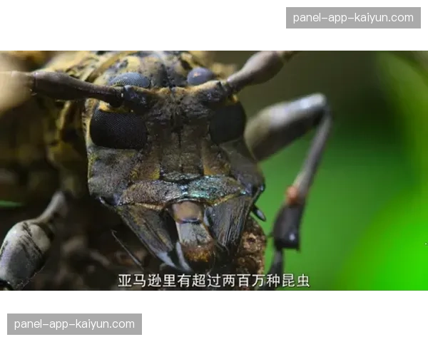 亚马逊纪录片剧组进驻朗斯俱乐部，拍摄下赛季“足球俱乐部幕后”系列