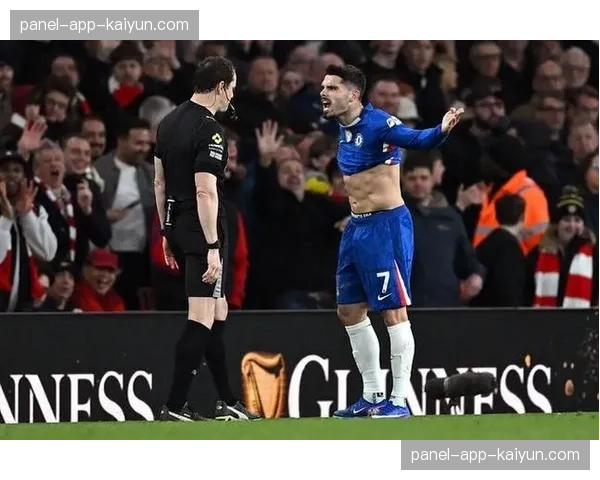 英足总调查球迷骚乱事件，涉及多场英超比赛看台冲突